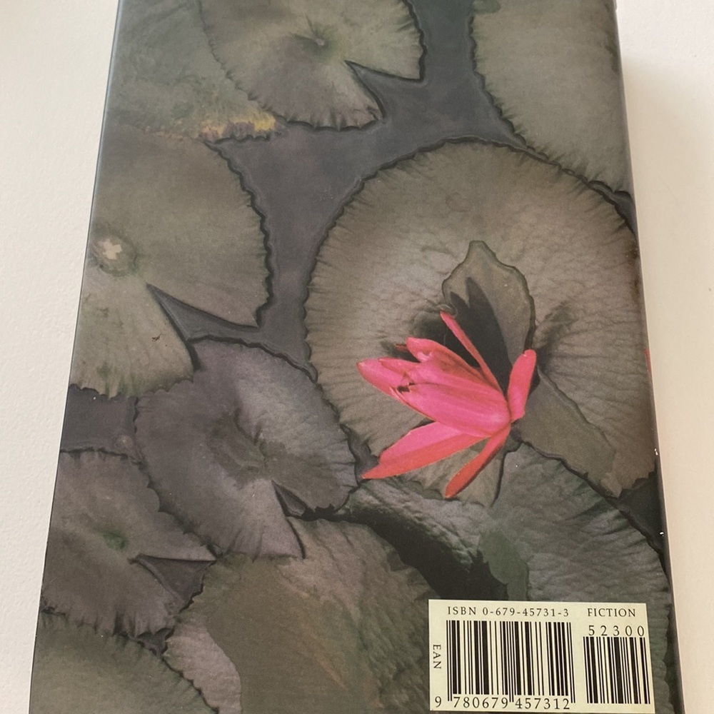 THE GOD OF SMALL THINGS  A NOVEL by ARUNDHATI ROY - Picture 3 of 3